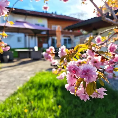Hofer Am Zeitberg Ferienwohnung Schoenau * Bad Kohlgrub